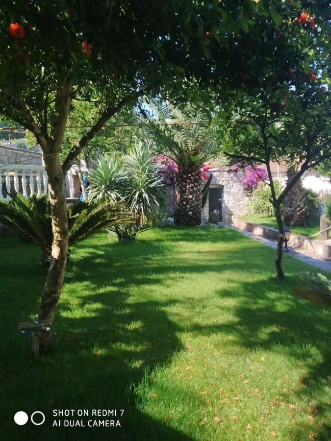 Villa Stella Rose Luštica Eksteriør billede